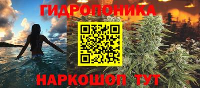 гидропоника Анжеро-Судженск