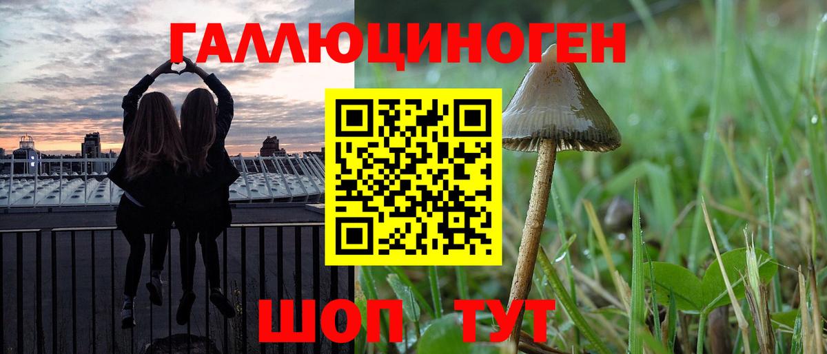Галлюциногенные грибы Psilocybe Бахчисарай