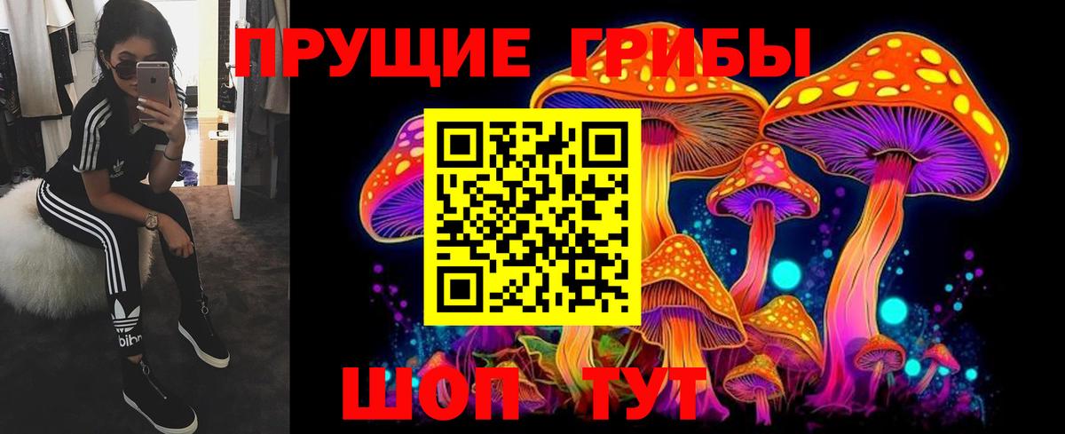 Галлюциногенные грибы Magic Shrooms  магазин    Бахчисарай  Вход с VPN  Псилоцибиновые грибы Cubensis 